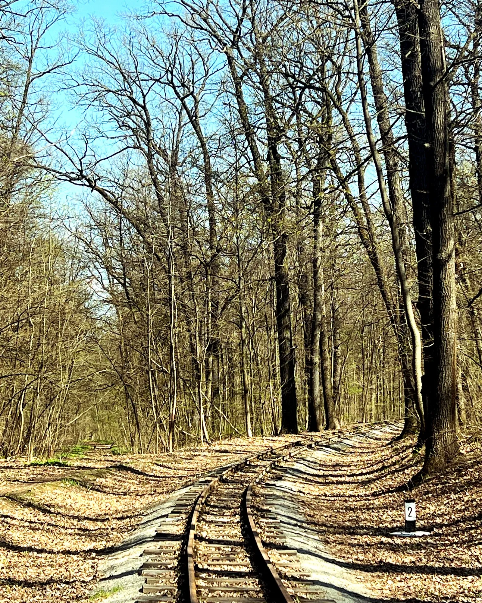 TR3ES inquiry and support